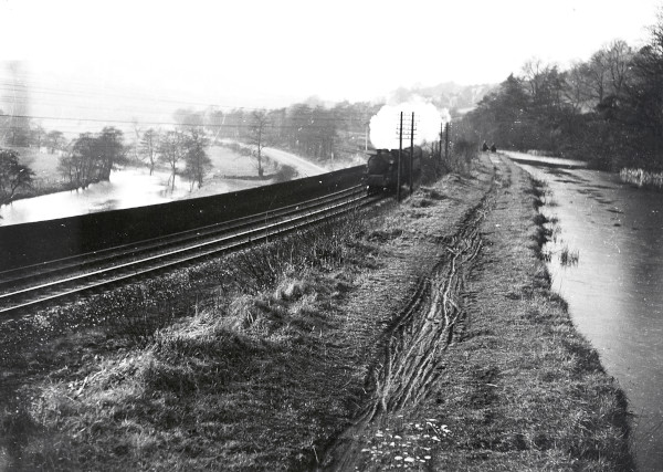 R0468 image R0468