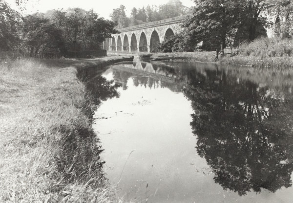BW192-3-2-5-2-78 image BW192-3-2-5-2-78