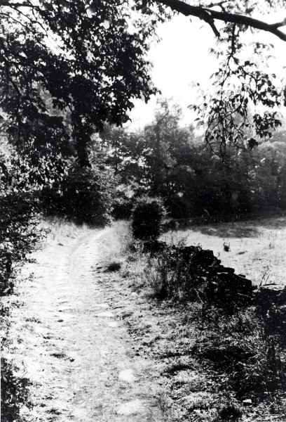 R0078 image R0078