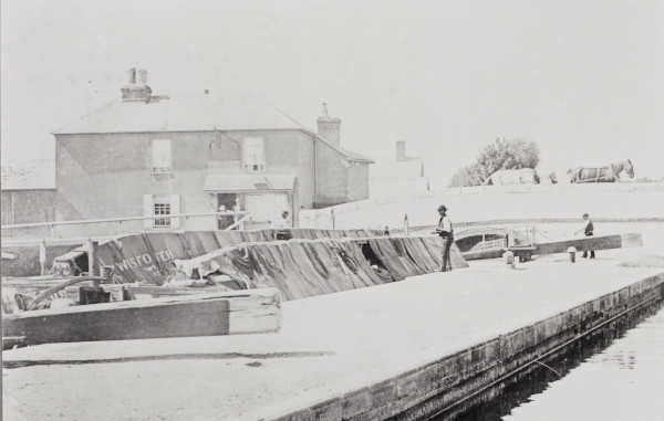 BW192-3-2-2-12-1-378 image BW192-3-2-2-12-1-378