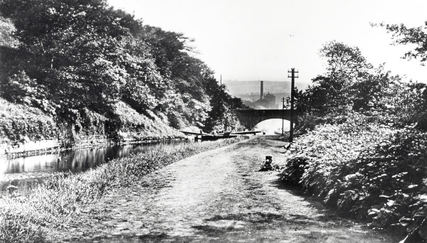R0378 image R0378