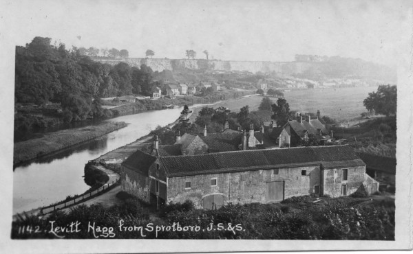 20022_0415 image 20022_0415