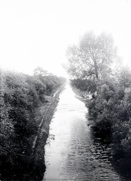 R0978 image R0978