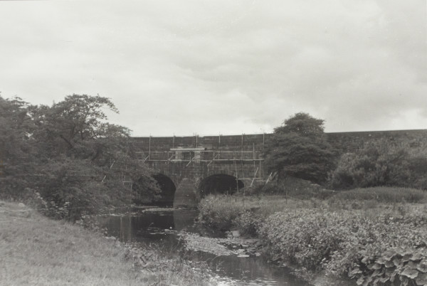 BW192-3-2-1-12-1-88 image BW192-3-2-1-12-1-88