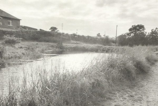 BW200-1-100-9 image BW200-1-100-9