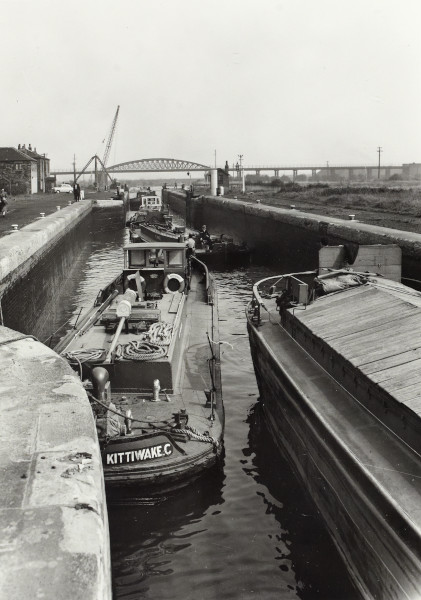 BW192-3-1-34-1-9 image BW192-3-1-34-1-9