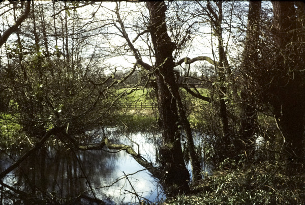 BW197-2-22-9 image BW197-2-22-9