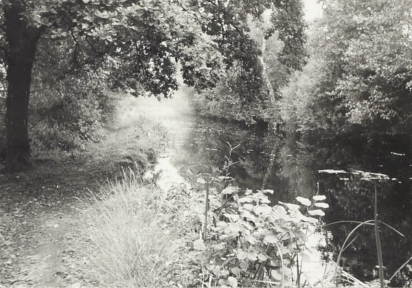 BW200-1-7-22-9 image BW200-1-7-22-9