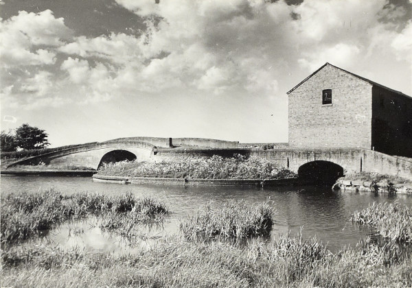 BW200-1-81-3-9 image BW200-1-81-3-9