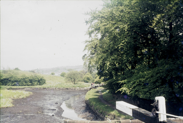 BW197-2-27-3-9 image BW197-2-27-3-9