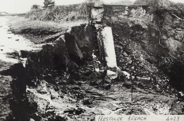 BW192-3-2-1-13-9 image BW192-3-2-1-13-9