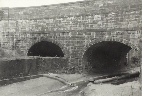 BW200-1-52-1-33-9 image BW200-1-52-1-33-9