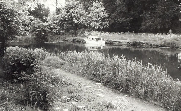 BW200-1-99-74-9 image BW200-1-99-74-9