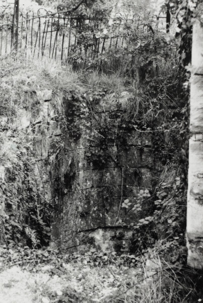 BW192-3-2-2-25-9 image BW192-3-2-2-25-9