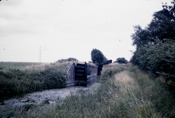 BW197-2-17-9 image BW197-2-17-9