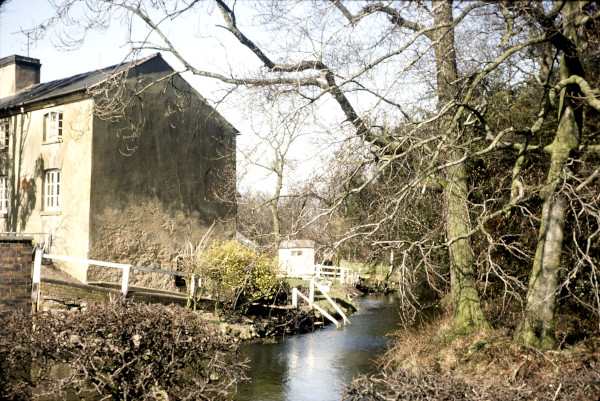 BW197-2-22-17-9 image BW197-2-22-17-9