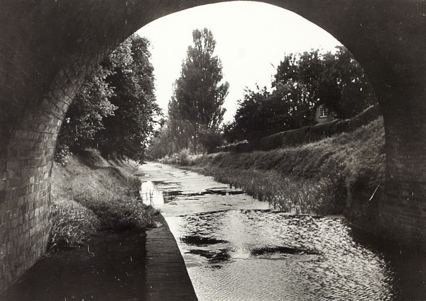 BW200-1-47-9 image BW200-1-47-9