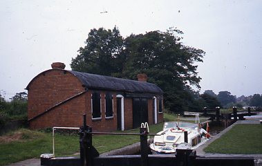 crt_wild_99 image crt_wild_99