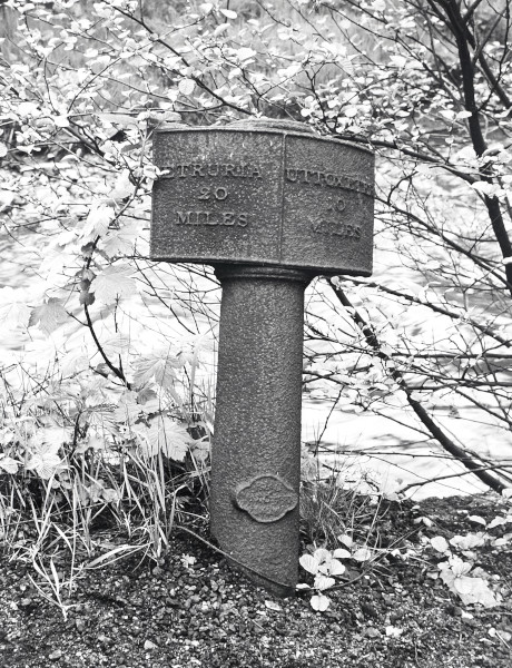 R0409 image R0409