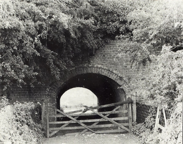 BW200-1-81-19 image BW200-1-81-19