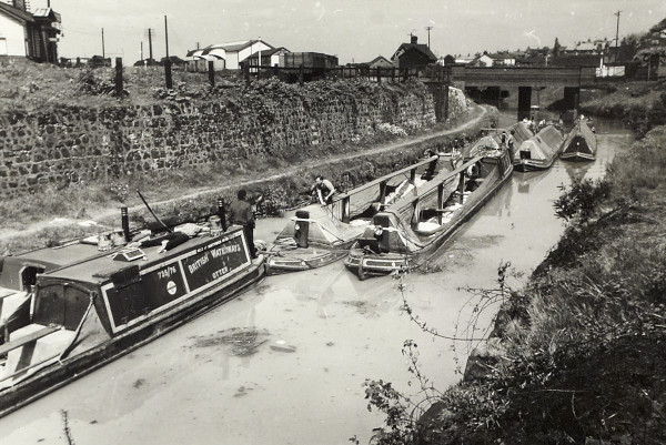 BW200-1-99-57-19 image BW200-1-99-57-19