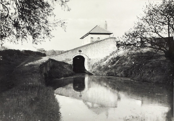 BW200-1-89-19 image BW200-1-89-19