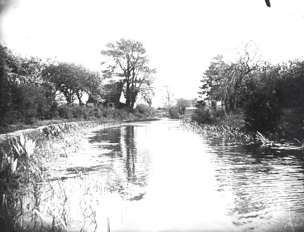 R0219 image R0219