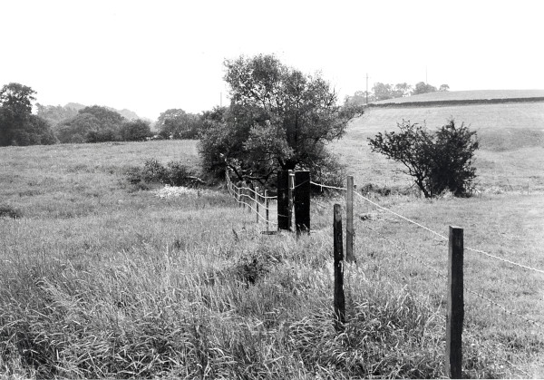 R0419 image R0419
