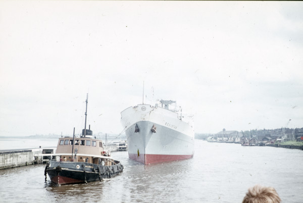 BW197-2-4-1-29 image BW197-2-4-1-29