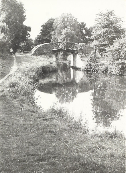 BW200-1-92-29 image BW200-1-92-29
