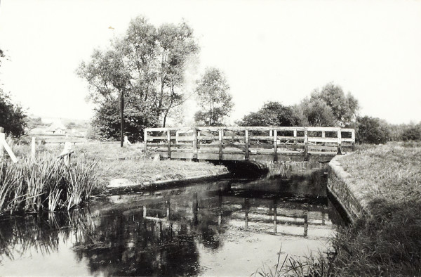 BW200-1-47-29 image BW200-1-47-29