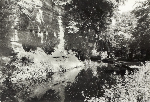 BW200-1-89-29 image BW200-1-89-29