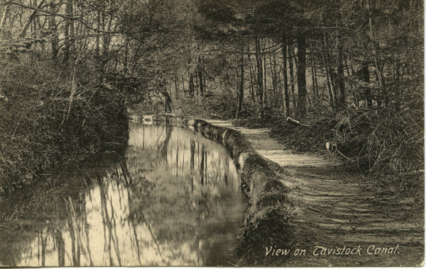 20022_0521 image 20022_0521