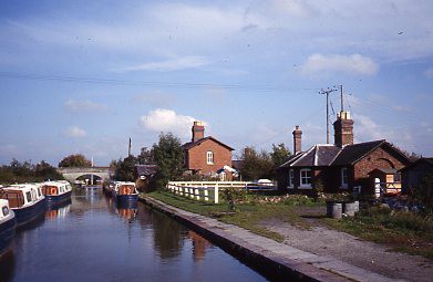 crt-wild-39 image crt-wild-39