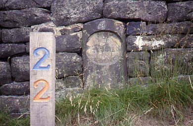 crt_wild_184 image crt_wild_184