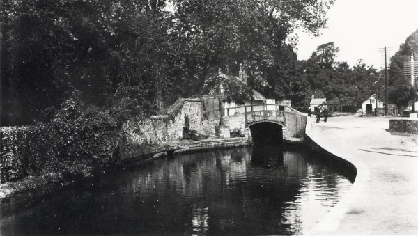 R0529 image R0529