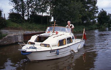 crt_wild_19 image crt_wild_19