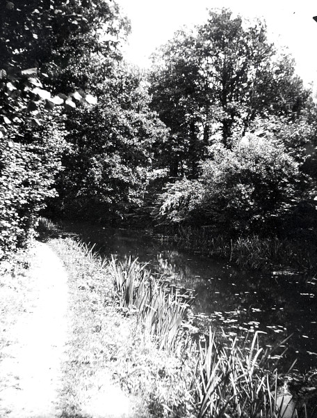 R0139 image R0139