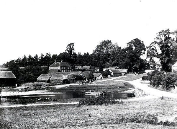 R0939 image R0939