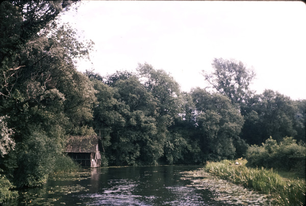 BW197-2-1-49 image BW197-2-1-49