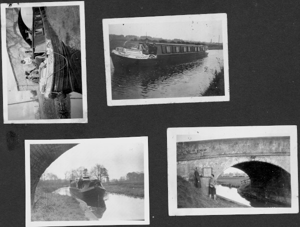 section 3 image section 3