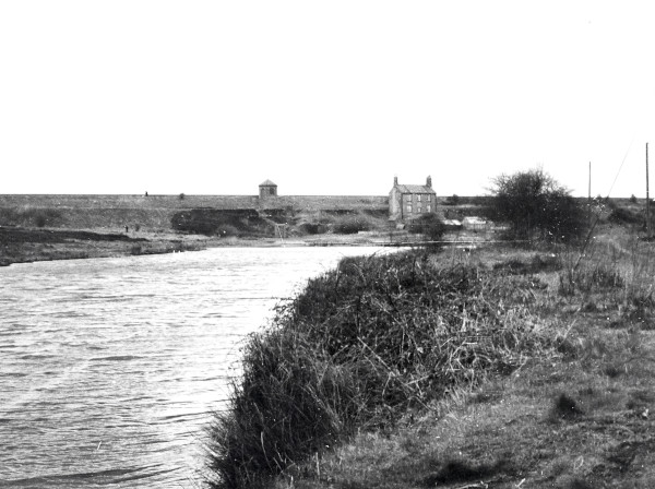 R0259 image R0259