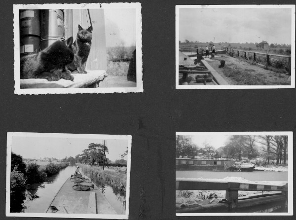 section 9 image section 9