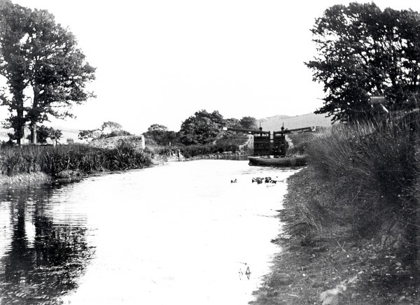 R0369 image R0369