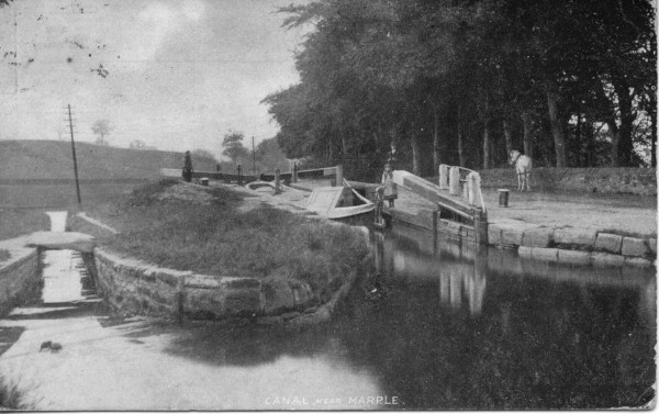 20022_0342 image 20022_0342