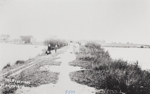 BW192-3-2-2-12-1-379 image BW192-3-2-2-12-1-379