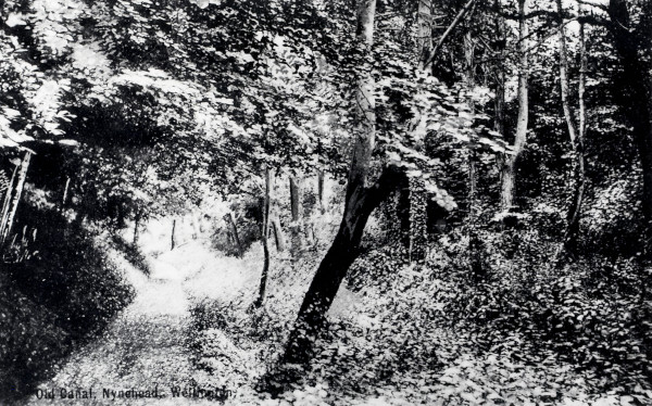 R0979 image R0979