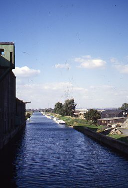 crt_wild_198 image crt_wild_198