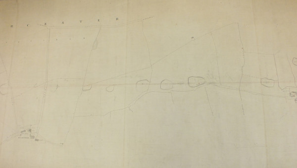 bw165_14_17_8 part 5 image bw165_14_17_8 part 5